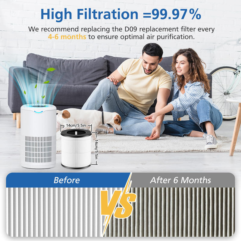 JORAIR D09 Replacement Filter for Tailulu Air Purifier Cleaner D09, 2 Pack