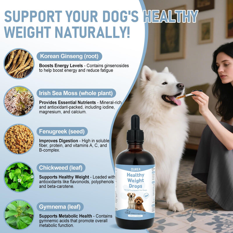 Weight Management Drops for Dogs, Effective Dog Weight Loss Drops, Healthy Weights Nutritional Supplement, Energy Metabolism Support, Weights Loss Pet Food, Natural Solution Hunger Control Supplements