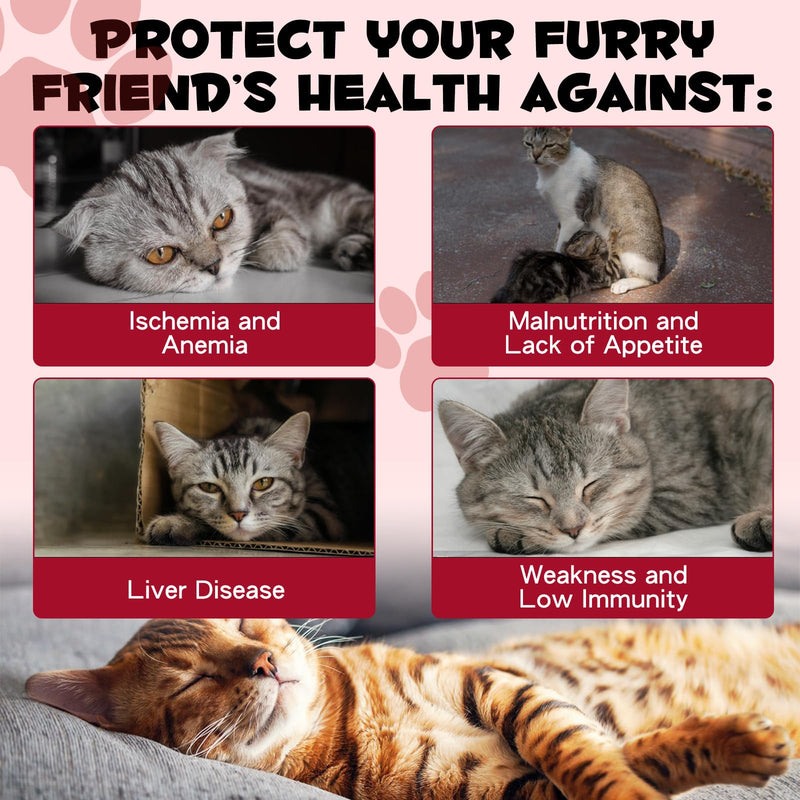 Liquid Iron Supplements for Cats,LiquiI Iron with Vitamin C and B12,Supports Anemia, Low Enery Levels and Lethargy,Promotes Blood Health, Helps with Formation of Red Blood Cell - PawsPlanet Australia