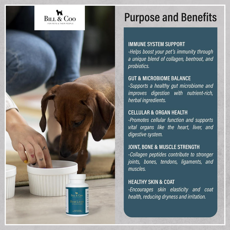 BILL & COO Best Lives Fiber Supplement with Bovine Collagen Peptides & Beetroot Powder for Dogs - Promotes Digestive, Heart and Liver Support - Dog Joints Supplement Formula - 90g