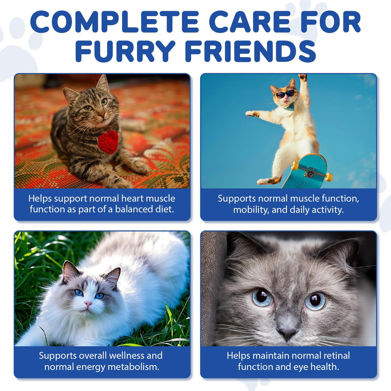 Taurine Supplement for Cats Liquid Drops – Supports Heart, Vision Health – 60mL Highly Absorbable for All Cats 12+ Weeks