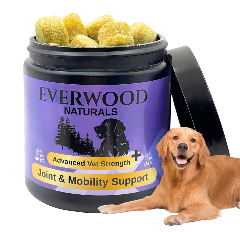 Premium Joint & Mobility Support Soft Chews for Dogs – Glucosamine, MSM, Green Lipped Mussel & Turmeric – Dog Hip & Joint Supplement – 60 Soft Chews