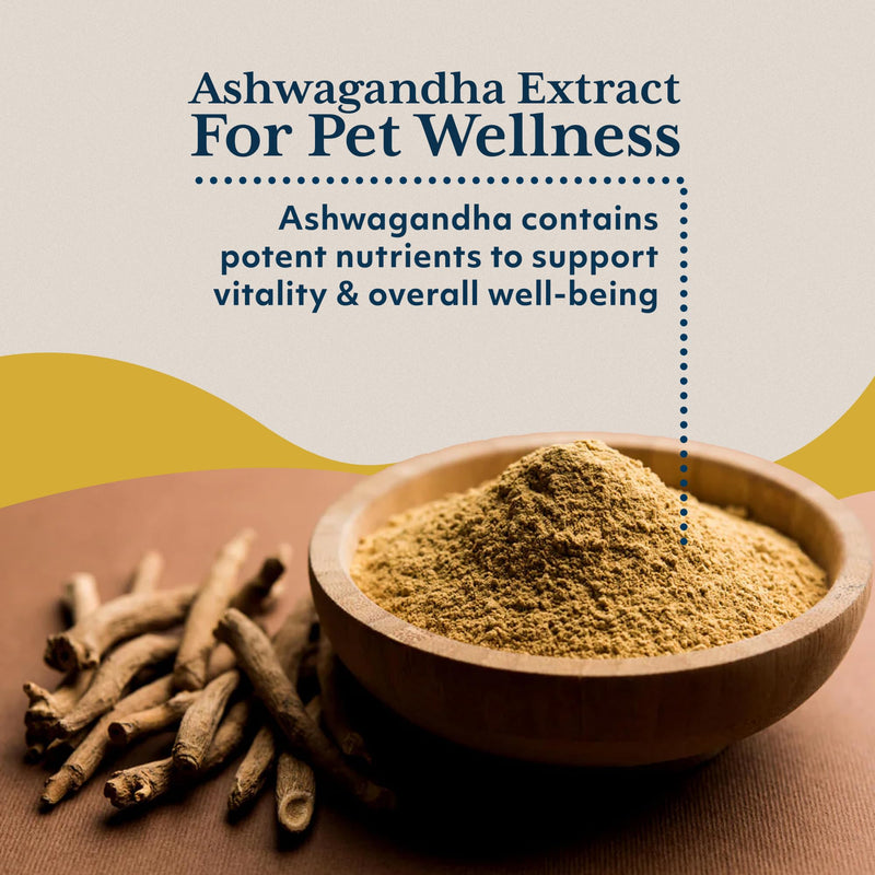 Ayush Pet Stress Support Ashwagandha Drops, Calm and Focus for Dogs or Cats, Alcohol Free Supplement, 2 oz.