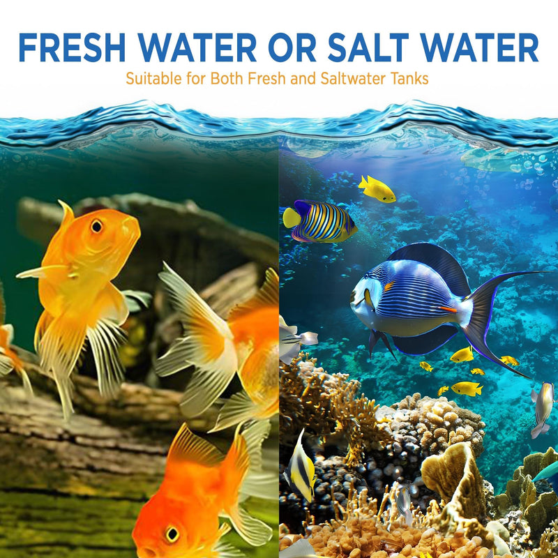 Fish Tank Rocks for Enhancing Water Clarity with Your Regular Cleaning Routine, Fish Friendly Aquarium Rocks, All Natural Aquarium Decor, Small, Up to 750 Gallons