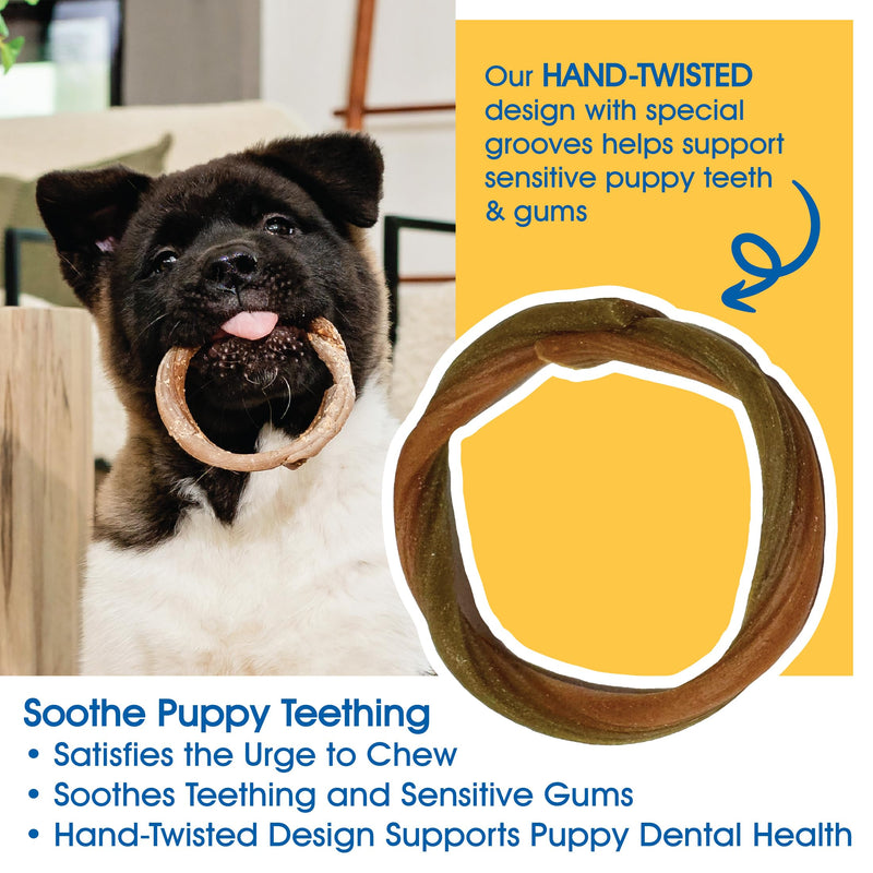 N-Bone Puppy Teething Rings Taste of Texas Chicken Fajitas Flavor 3 Count (Pack of 2) Chicken Fajitas - Regular 3.6 Ounce (Pack of 2)