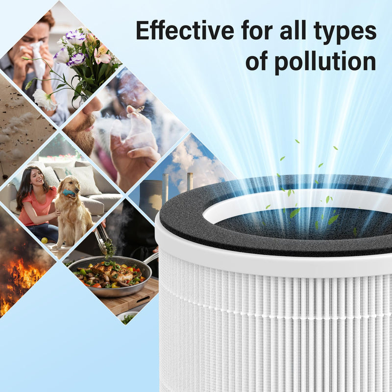 2 Pack HAP609 Air Filter Replacement for ECOSELF HAP609 Air Purifier