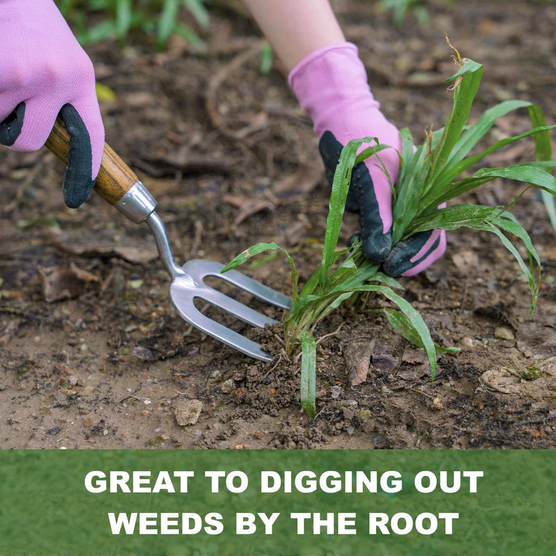 Garden Hand Fork, Hand Weeding Fork with Sharp Tine for Easy Uprooting Large Weeds, Stainless Steel Garden Fork, Comfortable Grip Wood Handle Hand Fork for Fast Weeding, Loosening Soil and Composting 12.3'' Garden Hand Fork