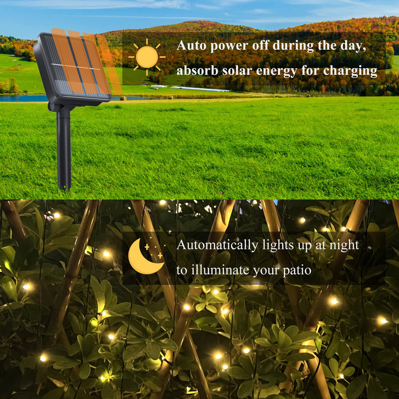 2 Pack Solar String Lights for Outside, 72FT 200 LED Solar Christmas Lights Outdoor with 8 Lighting Modes, IP65 Waterproof Solar String Lights Outdoor for Garden Party Tree Decor,Warm White Warm White