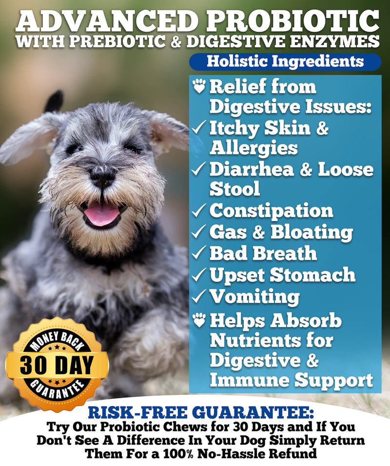 Well Loved Probiotics for Dogs - Dog Probiotics and Digestive Enzymes, Made in USA, Vet Developed, Dog Probiotic Chews with Prebiotics, Diarrhea Treatment, for Itchy Skin, Gut Health & Gas Relief - PawsPlanet Australia