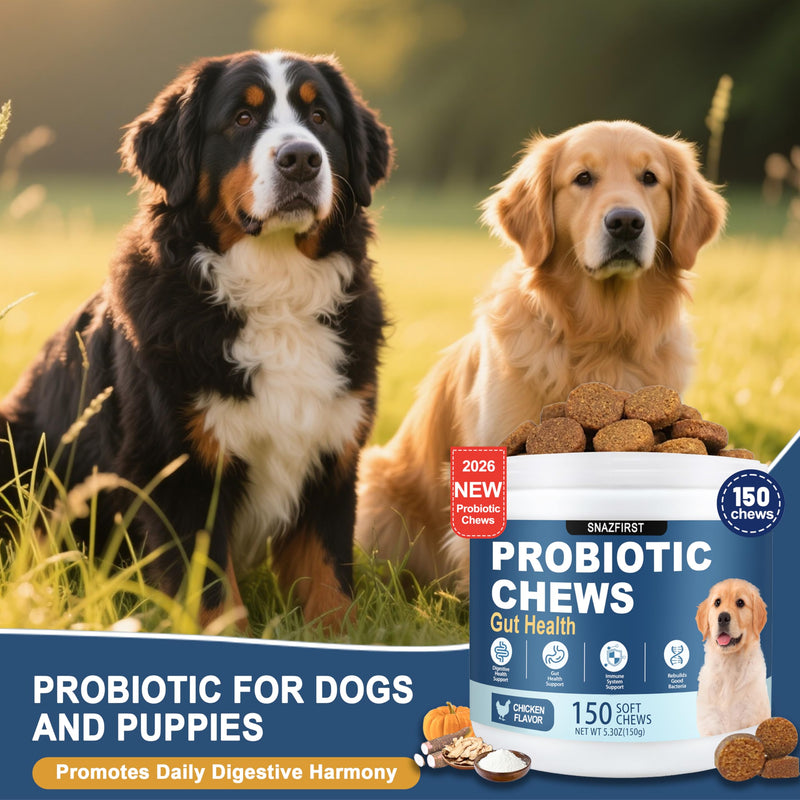 Probiotics for Dogs, Dog Probiotics Chews for Digestive Health & Gut Health, Improve Immune System,Constipation & Diarrhea Relief(Chicken Flavor, 150 Chews) 150 CHEW
