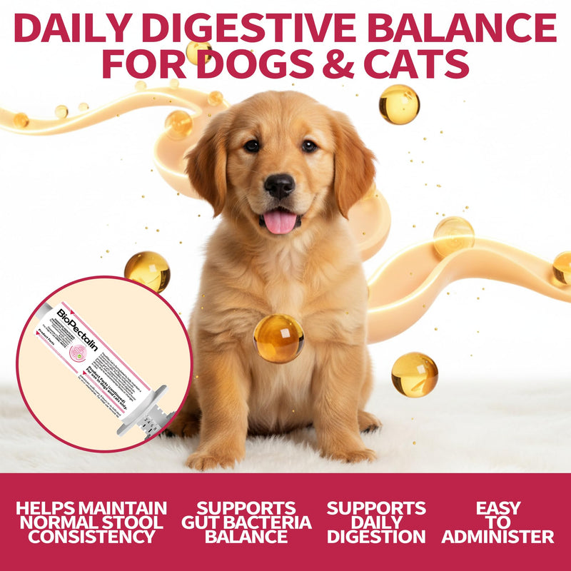 Anti-Diarrheal Support for Dogs & Cats –Digestive Relief Oral Paste with Kaolin, Pectin & Probiotics – Helps Soothe Upset Stomach & Firm Loose Stool – 30cc