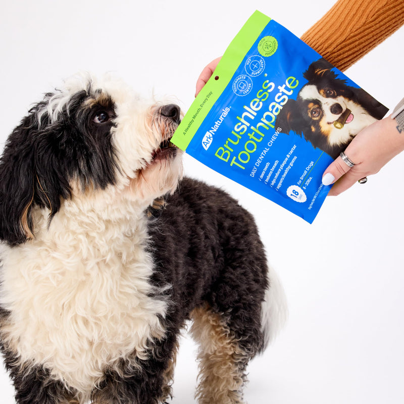 Ark Naturals Small Breed Brushless Toothpaste + Breath Bursts Bundle - Vet Formulated Dog Dental Chews for Small Breeds - Helps Reduce Plaque & Tartar, Polishes Teeth, and Freshens Breath