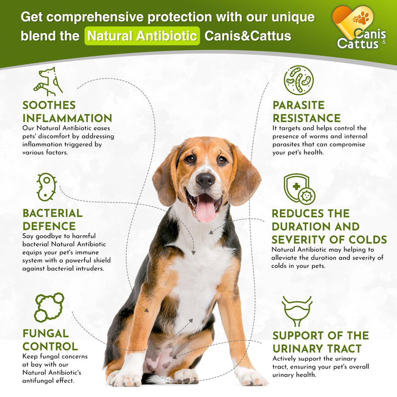 Antibiotics for Dogs | Cat Antibiotic | Pet Antibiotic | Natural Antibiotics for Cats | Dog Antibiotic | Natural Antibiotic for Dogs | Antibiotic for Cats | 2 Oz 1 Pack x 2 Oz
