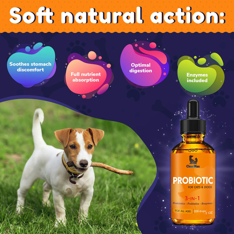 Probiotics for Dogs - Cat Probiotic - Great Dog Probiotics and Digestive Enzymes for Pet - Dog Digestive Enzymes & High Quality Prebiotic - Canine Probiotic - Probiotics for Cats - Puppy Probiotic - PawsPlanet Australia