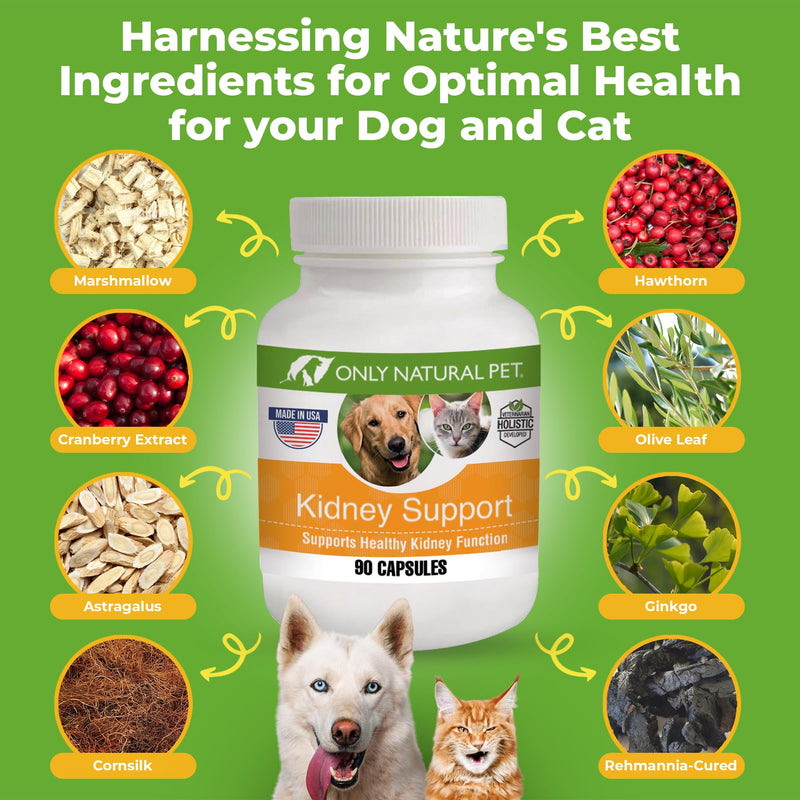 ONLY NATURAL PET Kidney Support Supplement | Supports Urinary Tract & Bladder Health w/Cranberry Extract | Incontinence Prevention (Capsules May be Opened and Contents Mixed w/Food) - 90 Capsules - PawsPlanet Australia