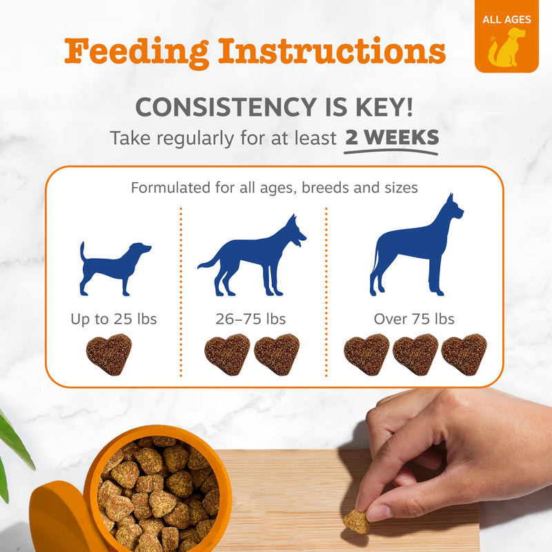 Zesty Paws Dog Multivitamin, Chewable Dog Vitamins and Supplements for Hip & Joints, Skin & Coat, Omega 3 Fish Oil for Dogs- Senior & Puppy Multivitamin - Chicken Mini Bites- 90ct Chicken - Mini 90 Count (Pack of 1)