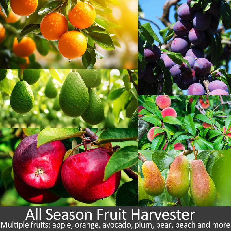 Fruit Picker Pole with Basket Telescopic Pole, 8ft Extendable Fruit Catcher Picking Pole Garden Tools for Picking Fruit from High Apple Cherry Orange Mango Fig Lemon Avocado Fruit Trees