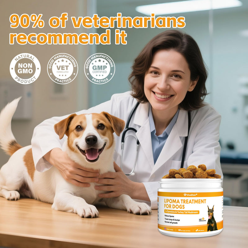 Lipoma Treatment for Dogs – L-Carnitine Helps Maintain Fat Metabolism, Energy, and Vitality; Turkey Tail, Reishi, Curcumin, and Coenzyme Q10 Help Promote Cellular, Immune, and Overall Health