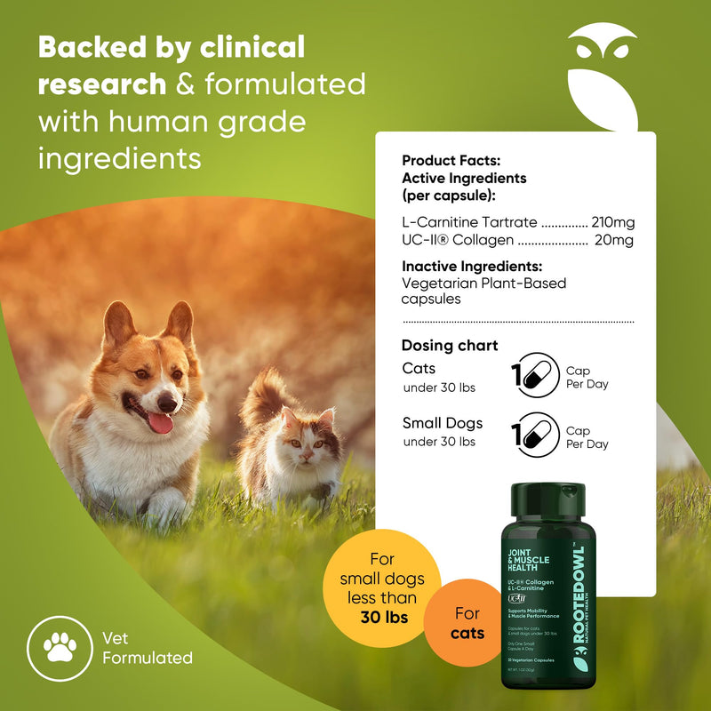 Natural Supplements Joint & Muscle Health Capsules - Hip and Joint Supplements for Cats and Small Dogs with UC-II Type II Collagen and L-Carnitine - 30/ct - PawsPlanet Australia
