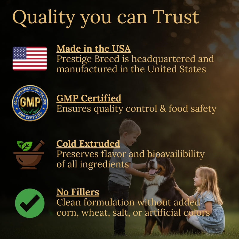 Bernese Mountain Dog Multivitamins, 90 Count, Made in the USA with Real Bacon.