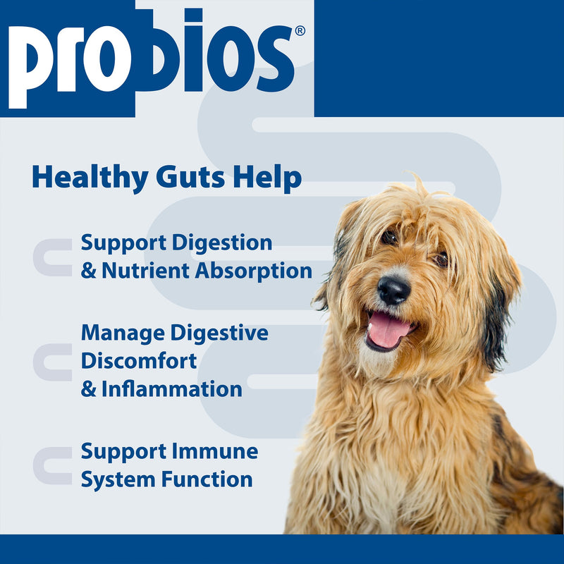 Probios Chewable Tablets for Dogs, Daily Probiotic Supplement for Gut Health, Digestion & Immune Support, Improves Microbiome Balance During Stress, Travel, Chicken Liver, 45 Count (Pack of 2) 45 Count (Pack of 2)
