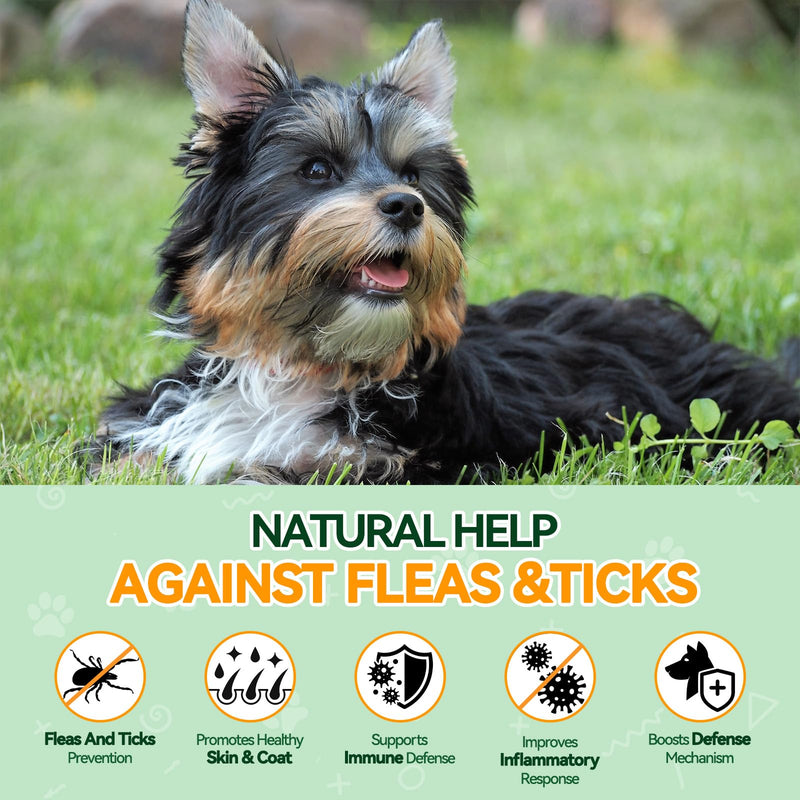 Probiotic & Flea Chews for Dogs - 200 Each - Natural Flea & Tick Prevention with Skin Support + Digestive, Gas & Immune Relief with Pumpkin & Enzymes - Chicken Flavor