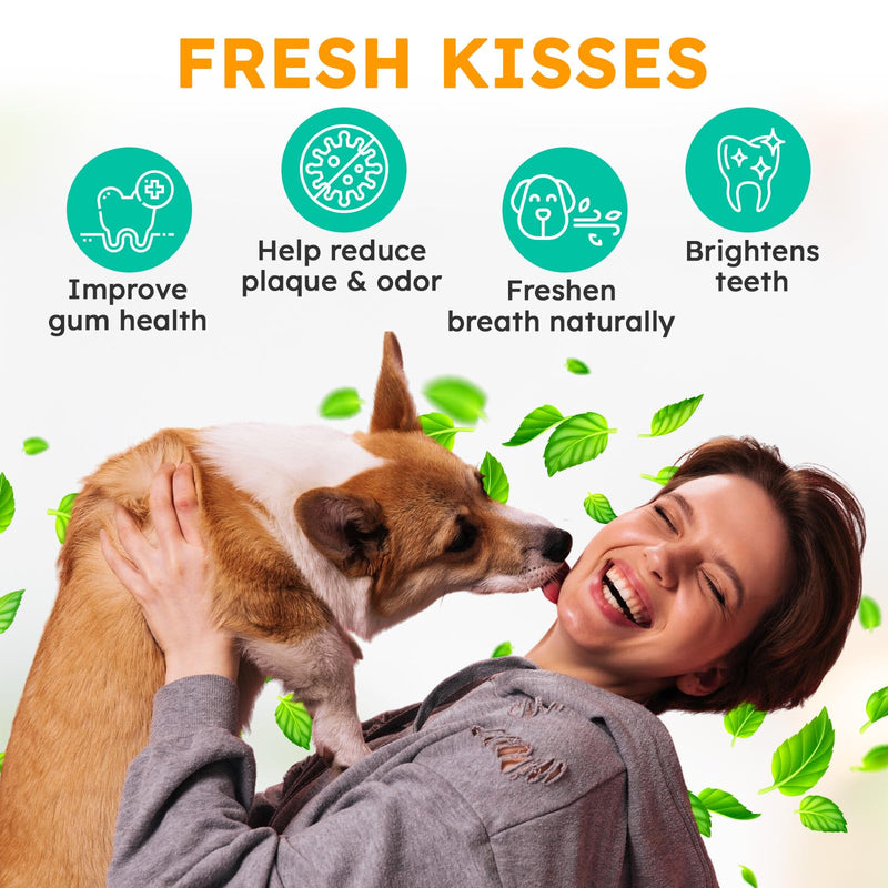 Dog Teeth Cleaning Powder - Dog Breath Freshener + Dental Care for Doggies & Cats + Tartar Remover for Teeth with Natural Ingredients + Probiotics Blend (Mint - 200g) 7.05 Ounce (Pack of 1)