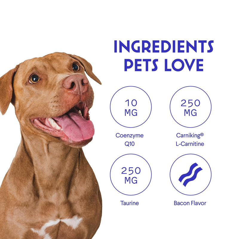 Cardio Support for Dogs – Cardiovascular Chews Heart Health, Circulation, Energy & Weight Management - with L-Carnitine, Hawthorn Berry, Coenzyme Q10 & Taurine for Dogs – 90 Soft Chews - PawsPlanet Australia