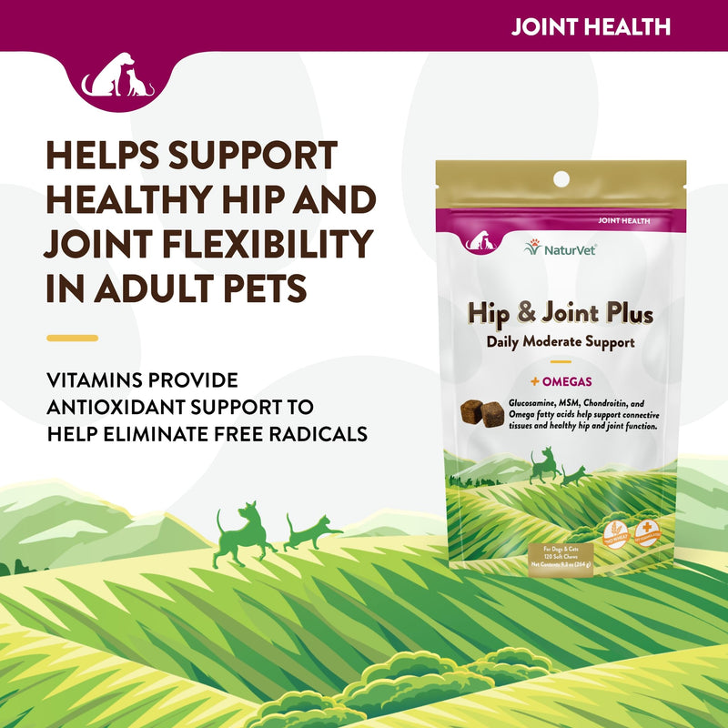NaturVet Hip & Joint Plus Soft Chew (Bag) 120 ct