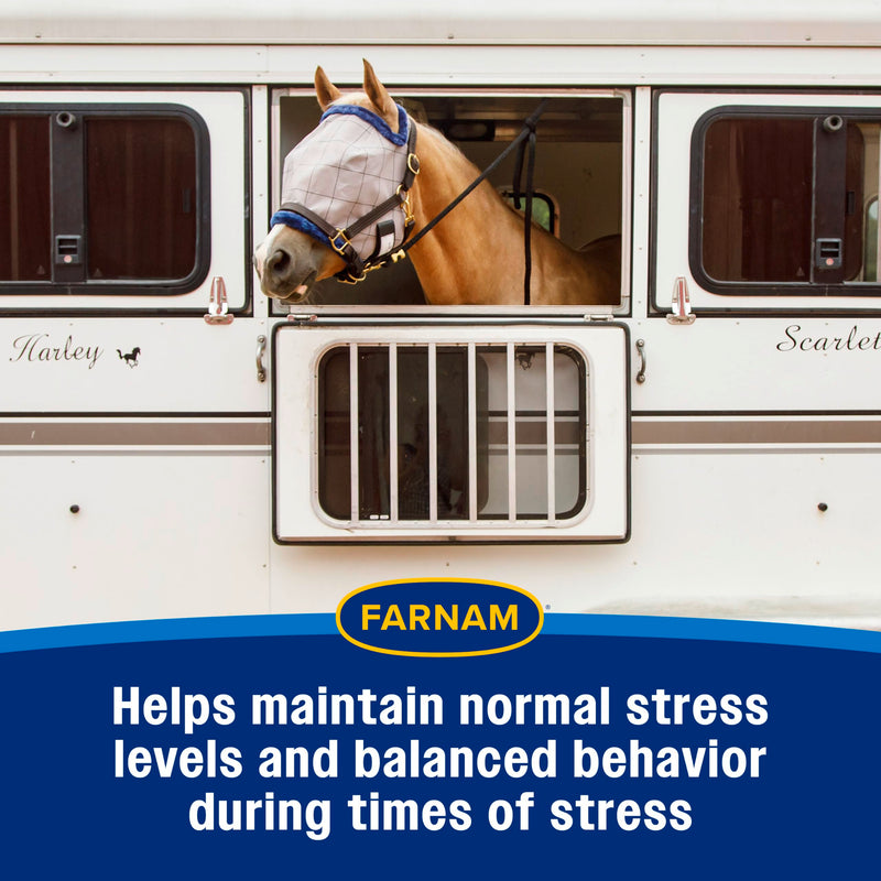 Farnam Quietex II Horse Calming Paste, 32.5 ml Syringe, Manage Nervous Behavior & Keep Horses Calm, Focused & Composed, 7 Stress-Relieving Ingredients, Calm Magnesium Supplement
