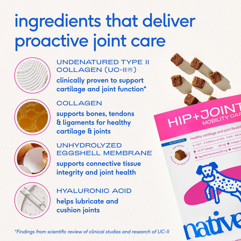 Native Pet Oral & Joint Health Bundle: Hip & Joint Supplement for Dogs - Helps Maintain Healthy Cartilage & Joint Flexibility & GutWell Clean Breath - Dog Breath Freshener - 60 Count