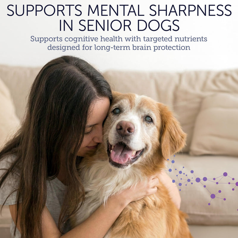 NuLife Dog Cognitive Supplement - Supports Senior Dog Memory, Alertness, and Behavior with DHA (Omega 3) and Ashwagandha - Helps Promote Brain Health and Focus in Aging Dogs - 45 Soft Chews