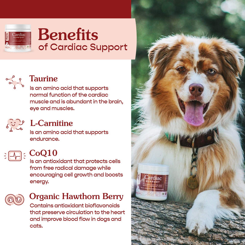 FERA Cardiac Support Supplement for Dogs Cats, Taurine, L-Carnitine, CoQ10, Organic Hawthorn Berry, Vitamin E, Promotes Cardiovascular Heart Health, Healthy Circulation 60 capsules - PawsPlanet Australia