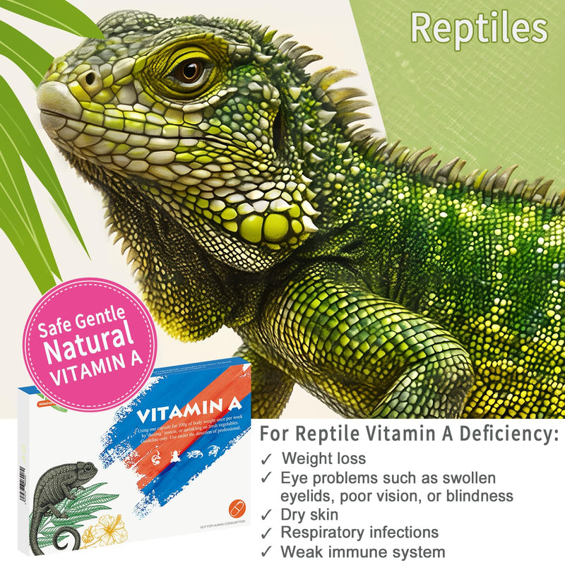 Vitamin A Supplement for Reptiles and Amphibians, 30 Capsules. - PawsPlanet Australia