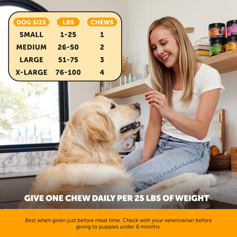 Pet Honesty Dog Wellness Virtual Bundle – Allergy Relief Immunity Chews (90 Ct) + Brush Buddies Dental Sticks for Medium Dogs (15 Ct) – Itch Support, Plaque & Breath Care