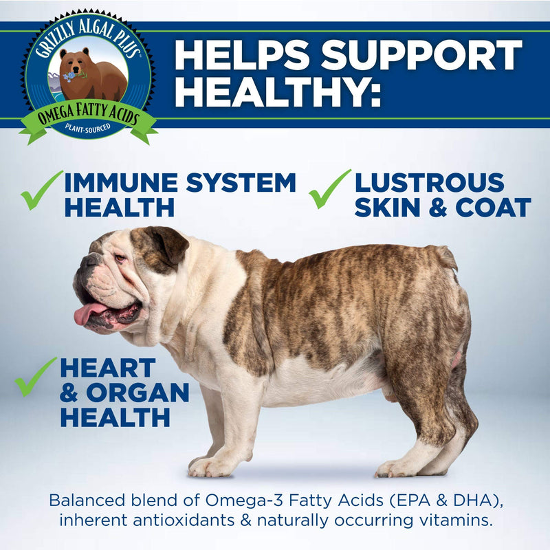 Grizzly Algal Plus Omega Fatty Acids Supplement for Dogs & Cats, 16 Fl Oz - Vegan, Plant-Sourced & Made in USA Algal Oil Omega 3-6-9, Healthy Skin & Coat - PawsPlanet Australia