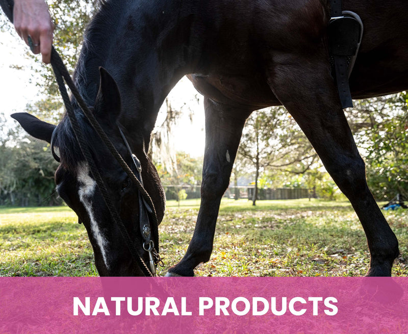 Holistic Natural Derived Calming Pet Shampoo for Anxiety: Veterinarian Recommended: Providing Stress Relief for Dogs, Cats and Horses - Made in USA - 16 oz Calming, Lavender, Bergamot, Geranium - PawsPlanet Australia