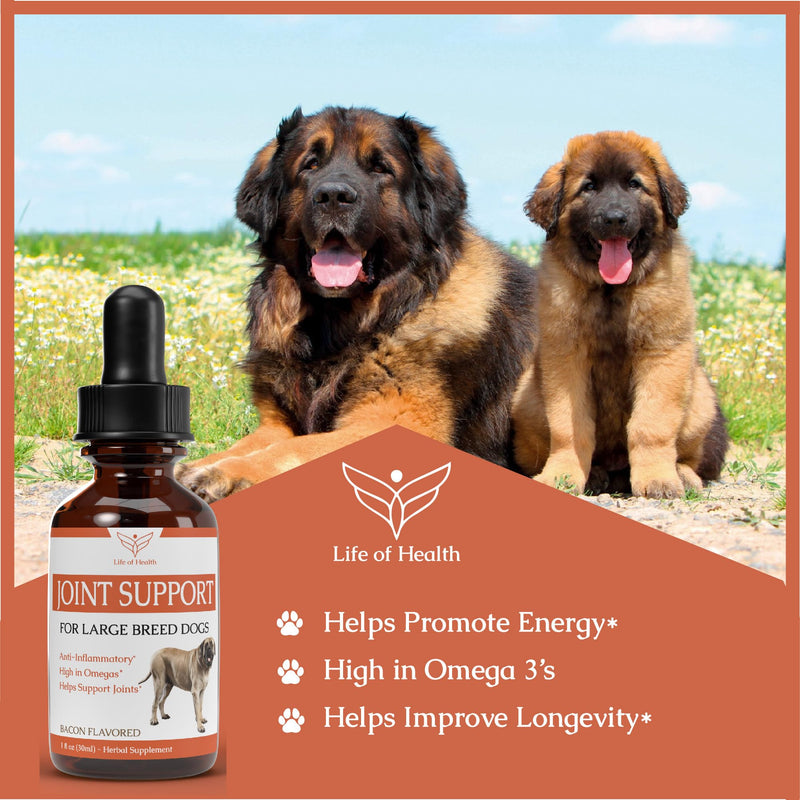Dog Joint Supplement Large Breed | Dog Hip and Joint Supplement | Dog Joint Pain Relief | Dog Hip and Joint Supplement Large Breed | Dog Hip & Joint Care | Dog Joint Support | 1 fl oz: Bacon Flavor - PawsPlanet Australia
