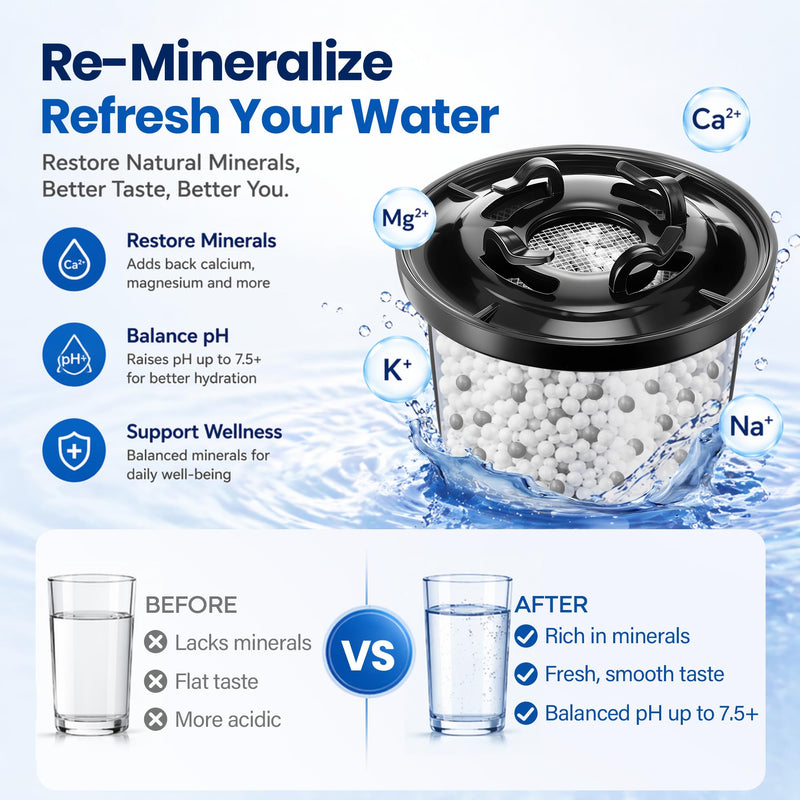 2 Pack Remineralization Water Filters Replacement, Compatible with Bluevua RO100ROPOT and RO100ROPOT(UV) Systems, Alkaline for Reverse Osmosis Filter, Remineralize and Increase pH 2