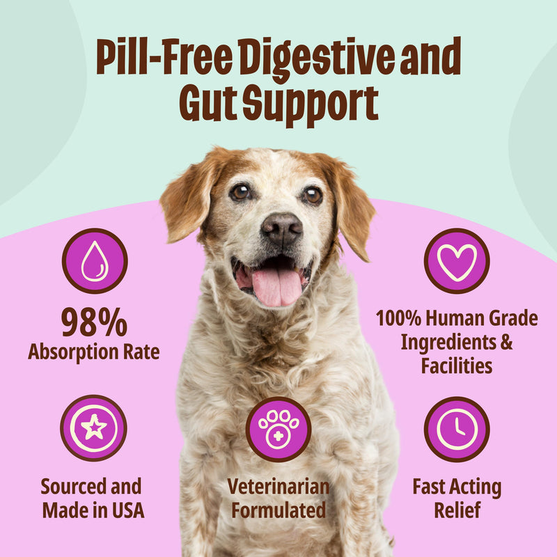 Licks Senior Pet Health - Mobility, Digestion & Immune Support for Dogs - Omega 3 Fish Oil, CoQ10, L-Carnitine & Green Lipped Mussel - Pill-Free Gel Packets - Chicken Flavor - 10 Packets 10 use Roasted Chicken