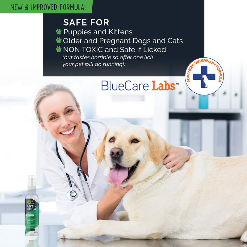 Bitter Apple Spray for Dogs to Stop Chewing Furniture Paws & Household Items 5X Strength NO CHEW Spray - Natural, Alcohol Free & Non Toxic | Effective Anti Chew Deterrent Spray | Made in USA Green - PawsPlanet Australia