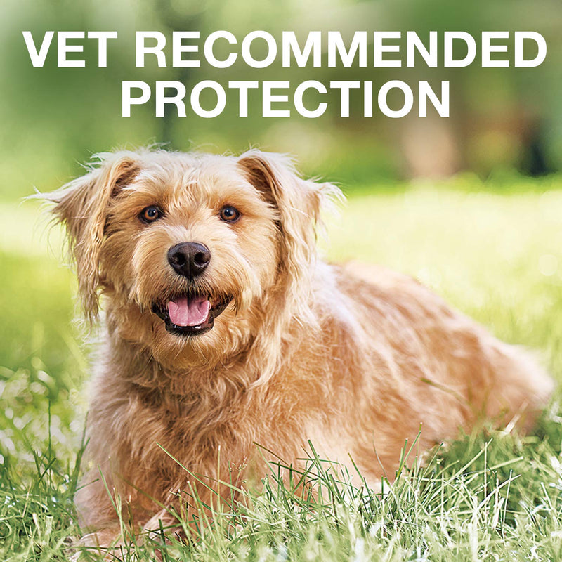 K9 Advantix II Flea and Tick Prevention for Extra-Large Dogs, Over 55 Pounds - PawsPlanet Australia