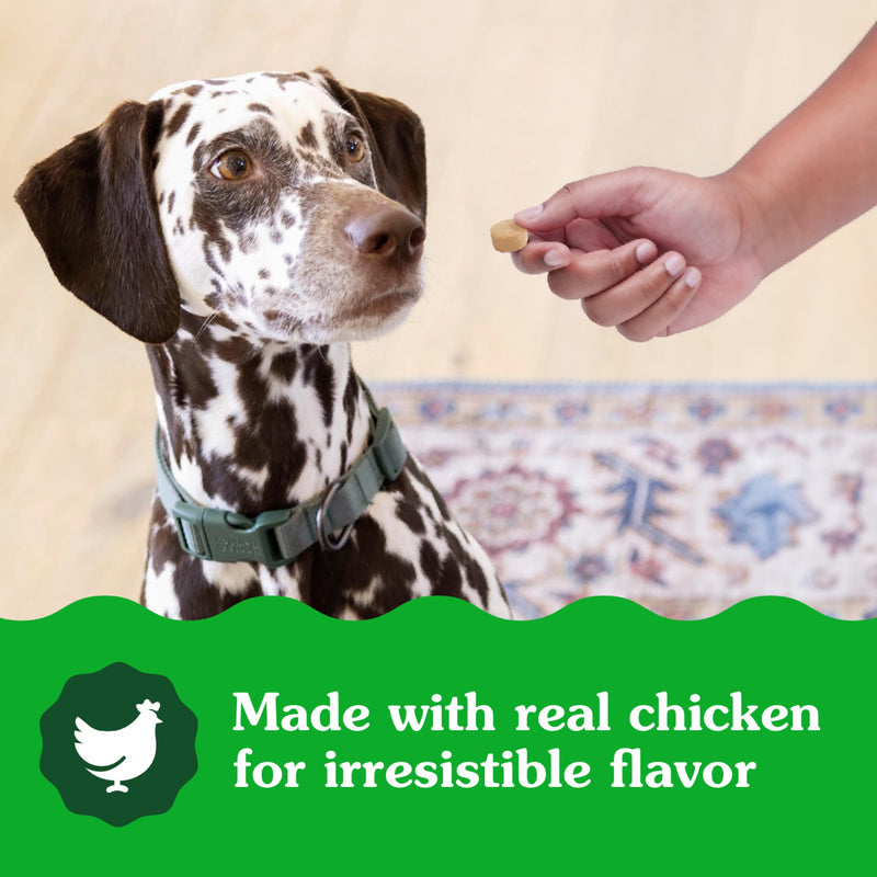 Greenies Supplements Calming Chews for Dogs Chicken Flavor, Dog Calming Chews, 7.3 oz. Container of 40 Count 40 Count (Pack of 1)
