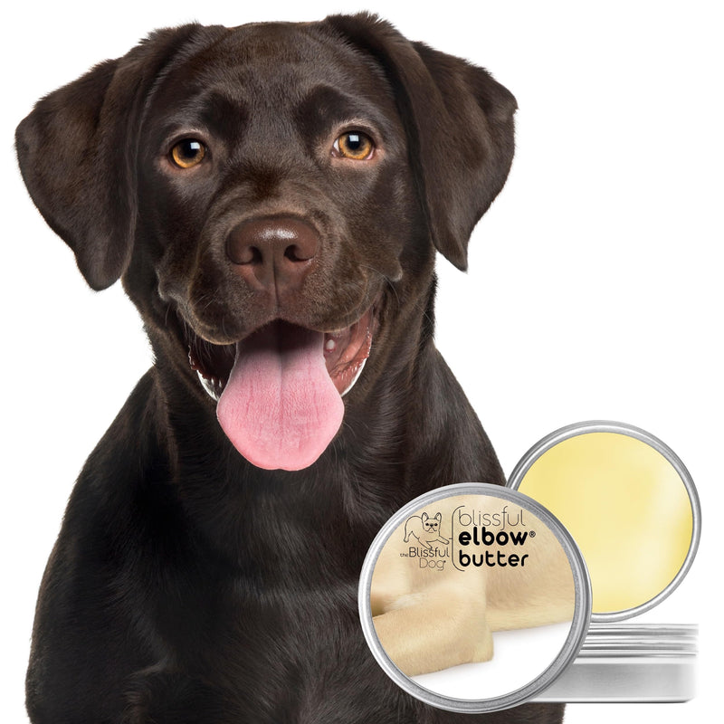 The Blissful Dog Elbow Butter, Moisturizer for Dry, Cracked Elbow Calluses, Versatile Dog Balm, Lick-Safe Balm, 1 oz. 1 Ounce - PawsPlanet Australia