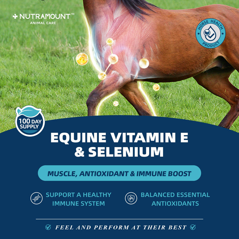 Horse Vitamin E & Selenium Supplement Powder – Natural Vitamin E 24% & Yeast Selenium – Daily Equine Antioxidant & Muscle Support – 100 Day Supply Big Tub