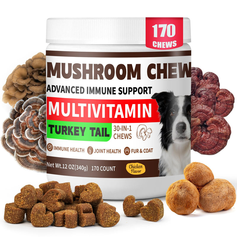 Turkey Tail Mushroom for Dogs, 170 Count Mushroom Chews for Dogs, Chicken Flavor Mushroom Supplements for Dogs, Immune Support, Joints Health, Skin & Coat, Lumps & Bumps Care Multivitamin