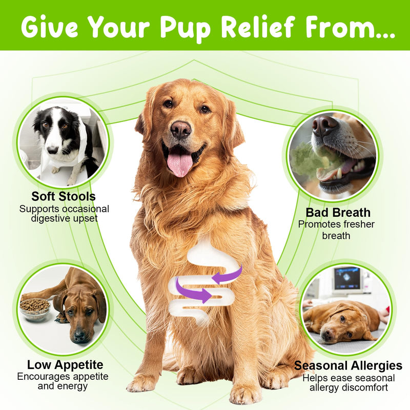 Probiotics for Dogs, 3-in-1 Liquid Probiotics Supplements, Dog Probiotic for Digestive & Gut Health, Fast Acting for Constipation, Diarrhea and Gas with Prebiotic & Digestive Enzymes