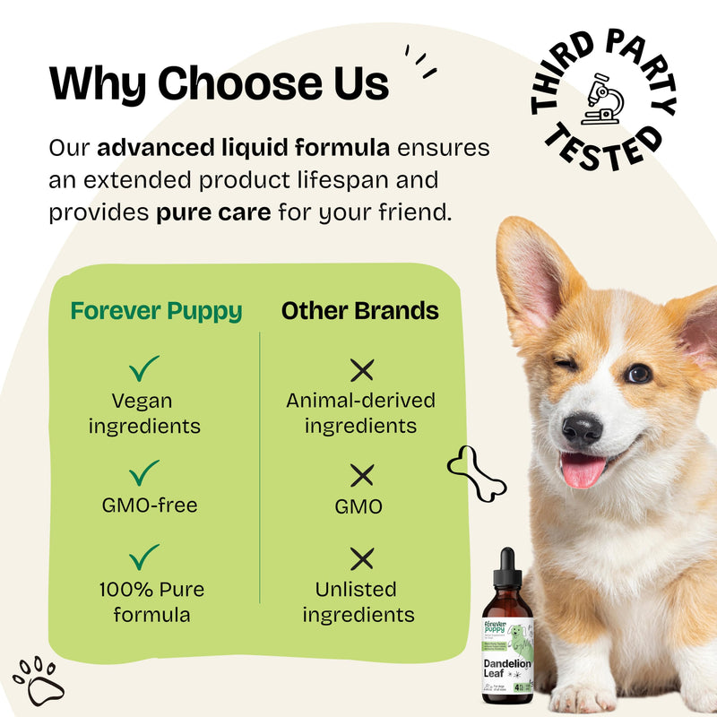 Dandelion Leaf Drops for Dogs - Kidney Health Supplement for Large, Medium & Small Dogs - Kidney Cleanse Detox Drops w/Dandelion Leaves - Dog Food Supplements for Natural Pet Kidney Support - 4 oz