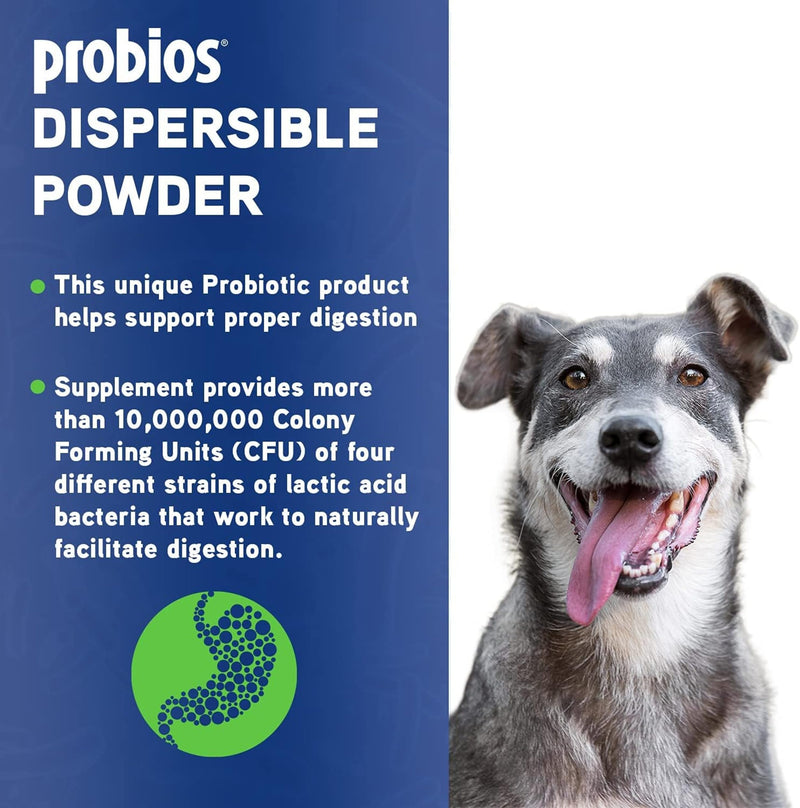 Probios Dispersable Powder - Probios Powder, Pet Probiotic, Probiotics for Swine, Equine, Sheep, Goat, Dog, Cat, Bird, Rabbit, Foals (240 gm) 8.46 Ounce (Pack of 1) - PawsPlanet Australia