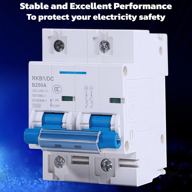 DC Circuit Breaker 2P 80A/100A/125A/150A/200A/250A 12V-125V Solar RV Yacht Battery Protection Switch (250A)